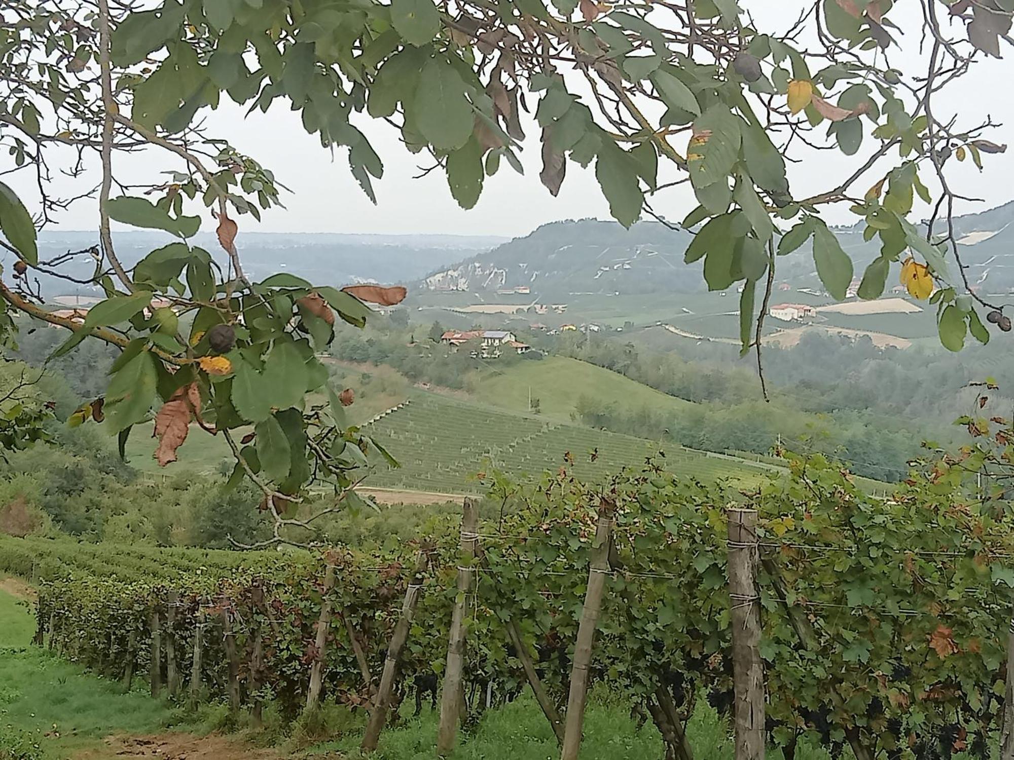 Agriturismo Bric Di Gai Monforte dʼAlba Buitenkant foto