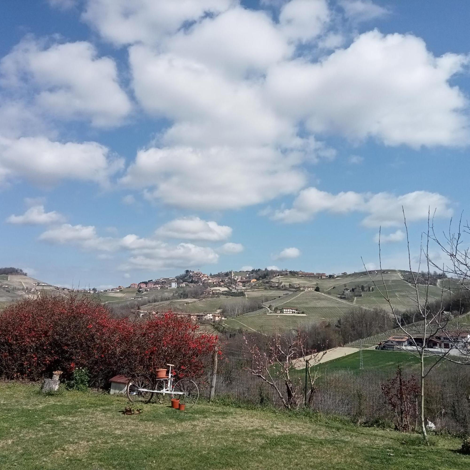 Agriturismo Bric Di Gai Monforte dʼAlba Kamer foto