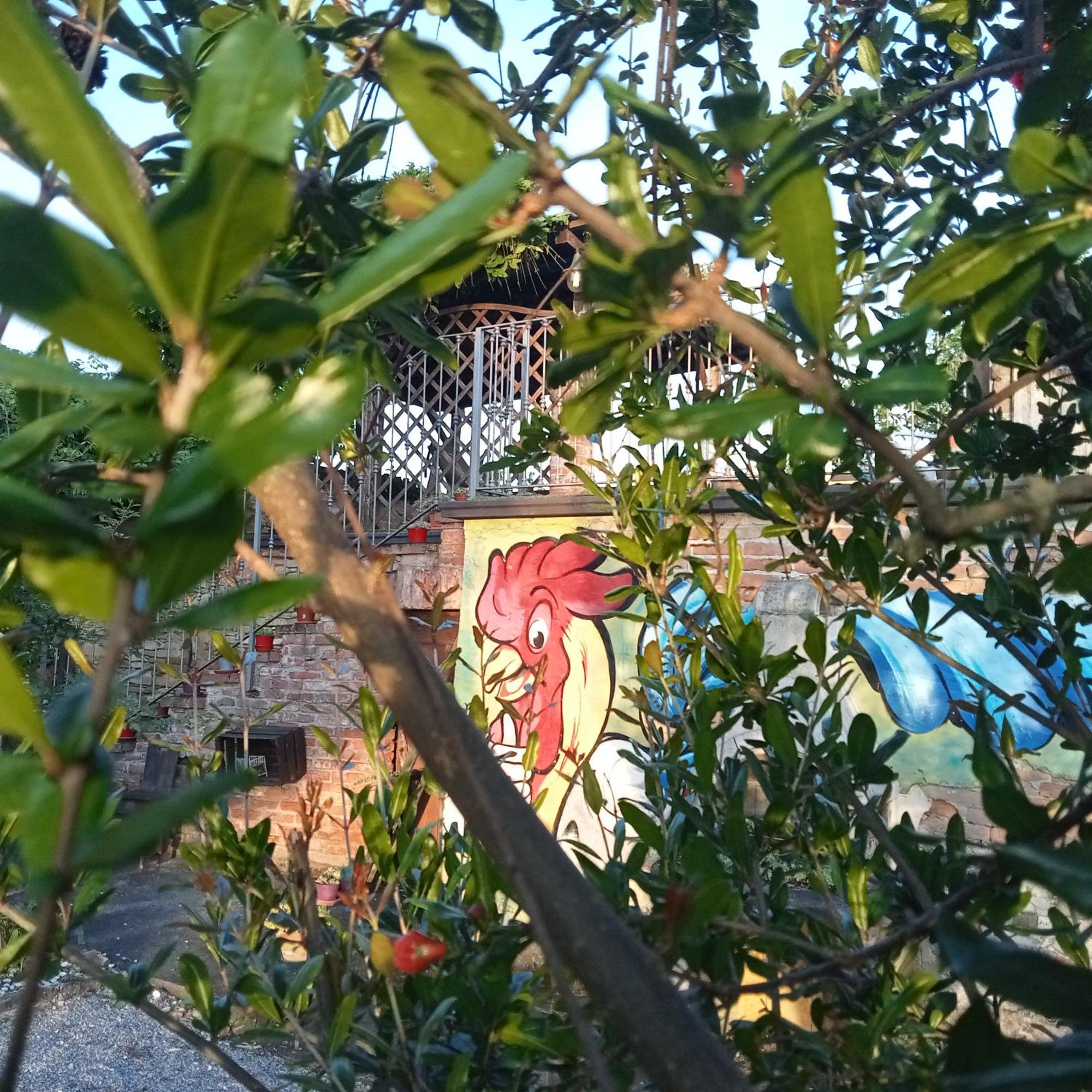 Agriturismo Bric Di Gai Monforte dʼAlba Buitenkant foto