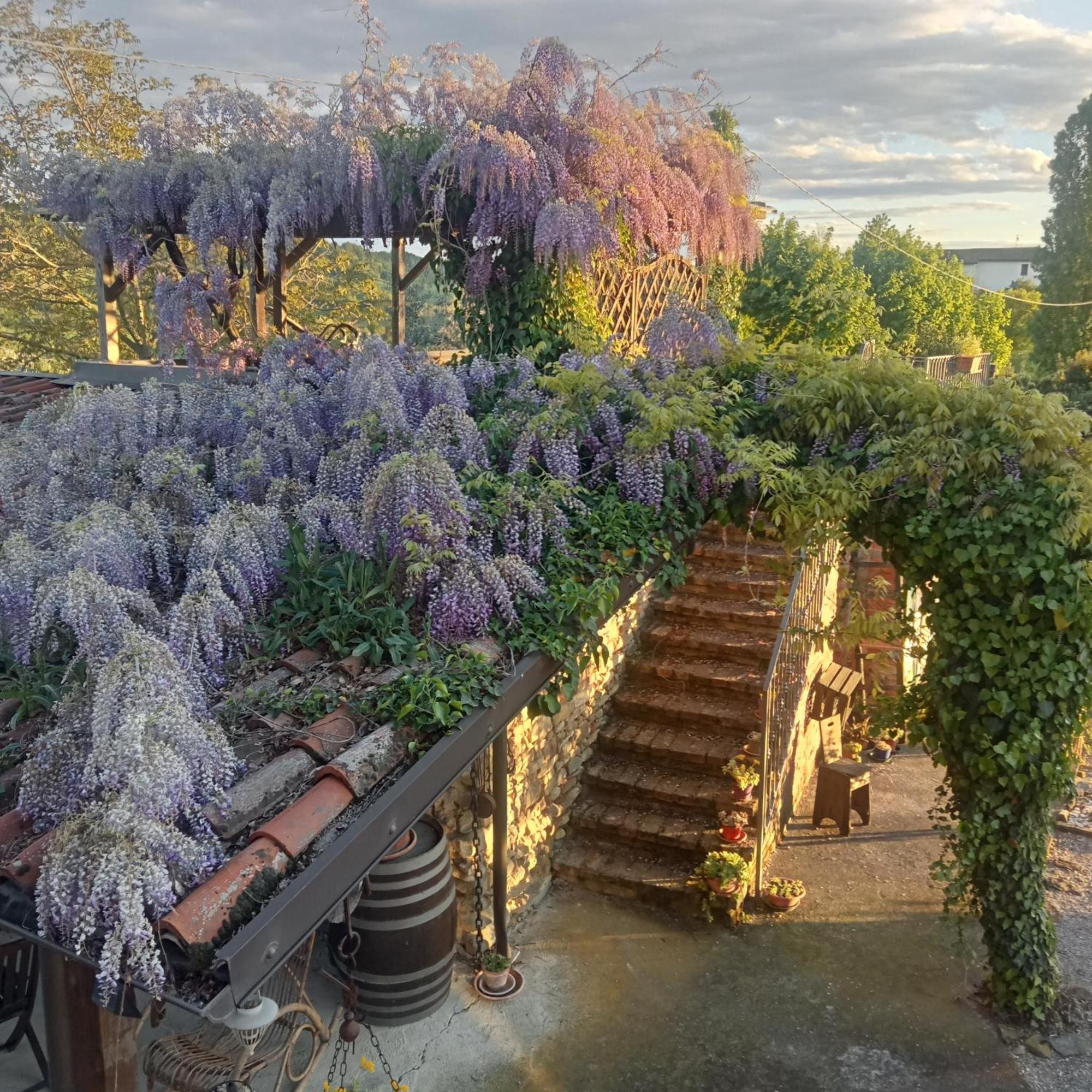 Agriturismo Bric Di Gai Monforte dʼAlba Buitenkant foto
